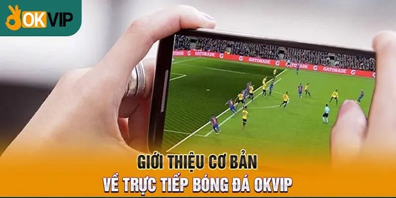 Live bóng đá OKVIP hỗ trợ đa nền tảng